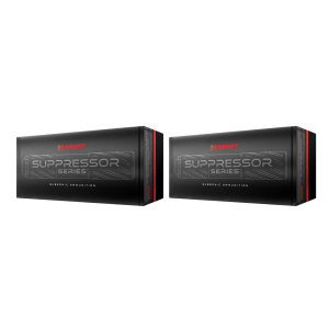 Barnes Bullets Barnes Suppressor Series .308 Winchester Subsonic 205 Grain Sierra GameKing (SGK) Ammo - $84.99 at Bereli 