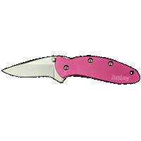 Kershaw 1600PINK Chive 1.90 - Folding Drop Point