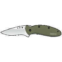 Kershaw 1620OL Scallion 2.40 Folding - Drop Point Plain