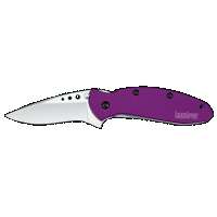 Kershaw 1620PUR Scallion 2.40 Folding - Drop Point Plain