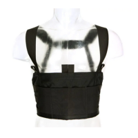 Blue Force Gear Ten-Speed M-4 Chest Rig, Black