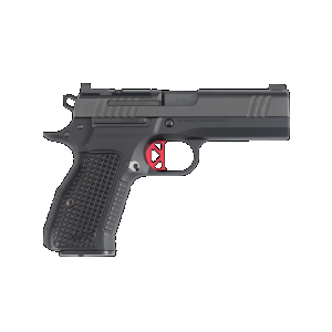 Dan Wesson DWX Compact 9mm 4 Barrel 2 15rd Magazines Optics Ready Pistol