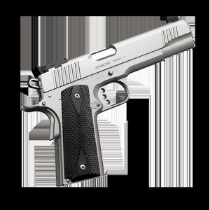 KIMBER STS TGT II 10MM PSTL STS