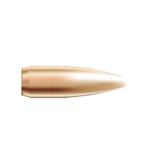 NOSLER BULLETS 22 CAL .224 52GR HP-BT CUSTOM COMP. 250CT