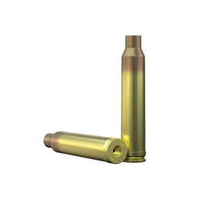 300 WINCHESTER MAGNUM BRASS