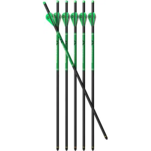 CP 400 Carbon Arrow, 6pk
