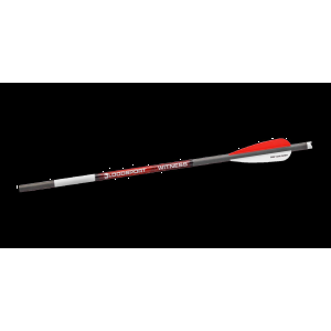 WITNESS 20in CROSSBOW BOLT 300 SPINE (6 PACK)