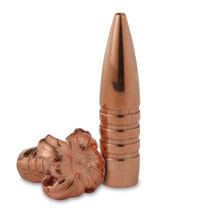Barnes Bullets 30615 TSX458 Caliber .458 300 GR TSX Flat Base 20 Box