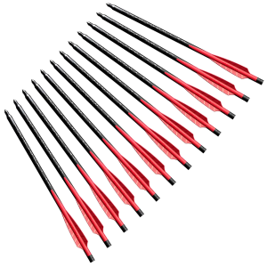 Barnett Demun Hyperbolts