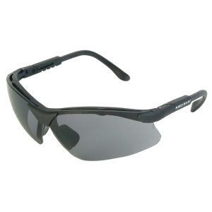 Radians RV0120CS Revelation Glasses Anti-Fog Smoke Gray Lens w/Black Frame