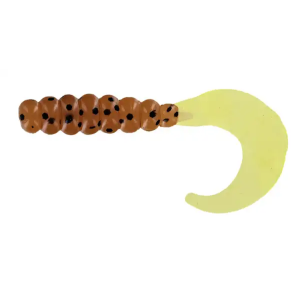 BB 2 FAT GRUB PUMPKIN/CHART 10 PK