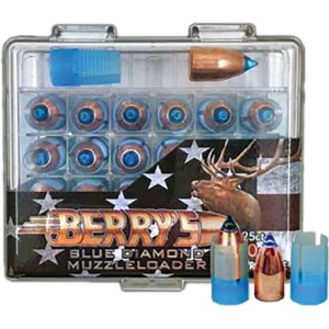250gr Bullet w/ Sabot 25 count bullets