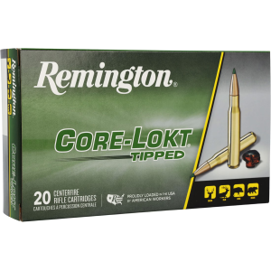 REM CORE-LOKT 300REM 180GR TIPPED 20/10