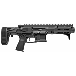 Maxim Defense PDX 300BLK 55 20 Round Hatebrake Black Pistol Brace Included