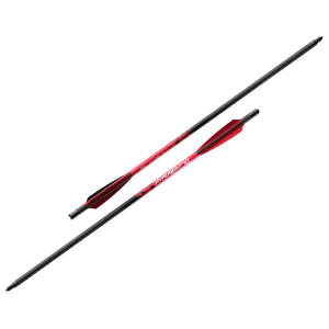 Barnett Demun C10 Hyperbolts