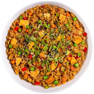 ReadyWise CP 6 CT Chicken Teriyaki & Rice