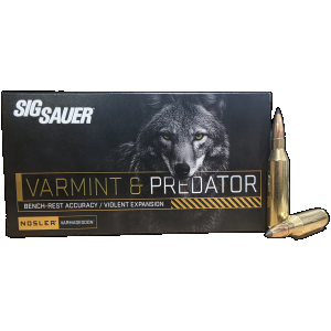 Sig Sauer Varmint & Predator .243win, 70gr Nosler Varmageddon, 20rd Box