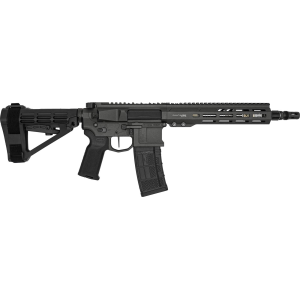 Blackout Dynamics Quantum DTLX Helix 223 Wylde 115 Barrel 1 30rd Magazine Forward Assist Grey Pistol