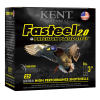 Kent Cartridge K203FS242 Fasteel 2.0 20 Gauge 3 7/8 oz 2 Shot 25 Bx/ 10 Cs