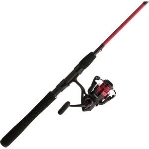 PENN Fierce IV Spinning Combo