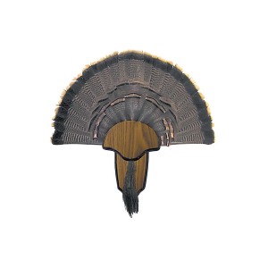 Hunters Specialties Turkey Tail/Beard Mount Kit
