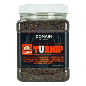 Domain Outdoor Turnip Seed