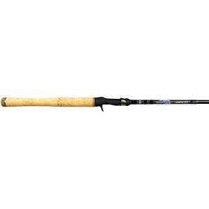 Dobyn's Champion XP Casting Rod