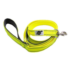 ROCT Outdoor Trailhead Padded Dog Leash