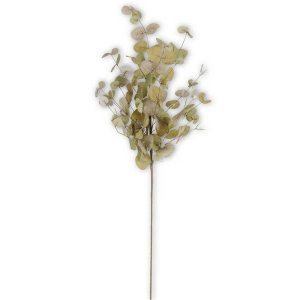 K&K Interiors K&K Interiors 36" Eucalyptus Stem