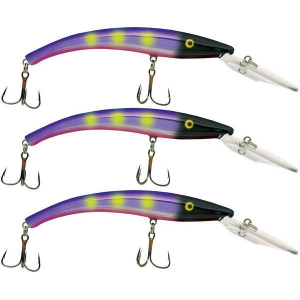 Reef Runner 8003 Series Deep Diver Crankbait