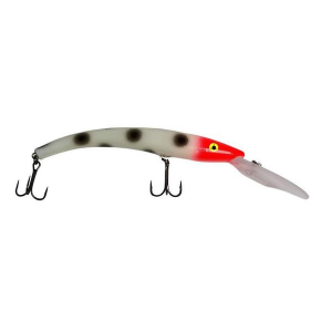 Reef Runner 800 Crankbait