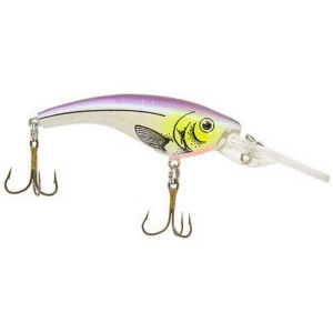 Reef Runner Rip Shad Crankbait