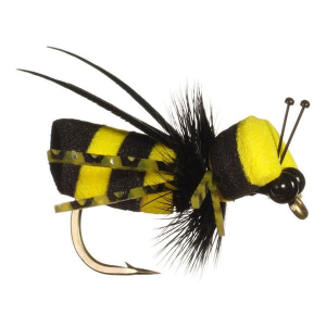 Rainy's Bumble Bee-FM Terrestrial