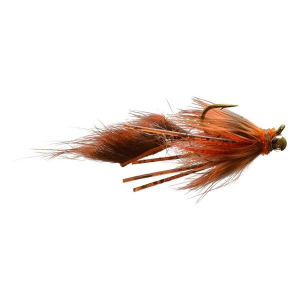 Satkowski's Orange Raiders of the Lost Carp