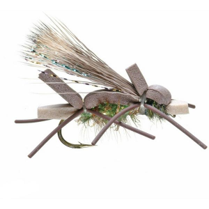 Umpqua Amy's Ant