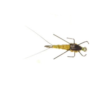 Rainy's Flies Real Meal Nymph WTD