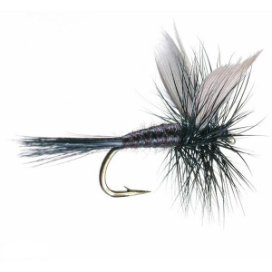 Umpqua Black Gnat Dry Fly