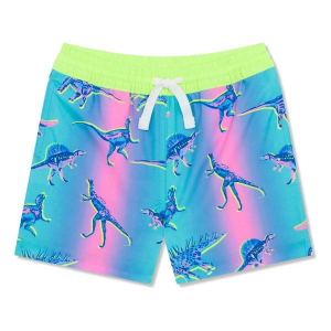 Boys' Chubbies Magic Classic Swim Trunks Baby 24 mo. The Lil Dino Delights