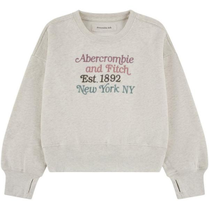 Girls' abercrombie kids Multicolor Logo Crewneck Sweatshirt 17/18 Oatmeal Heather