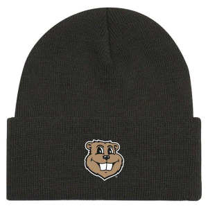 Minnesota Golden Gophers Legacy Athletic Cuffed Toddler Beanie One Size Black