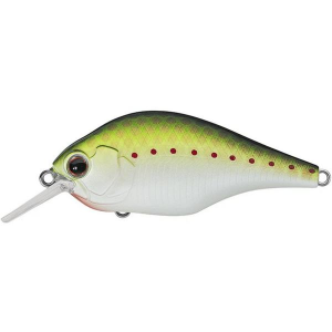 Evergreen ZR4 Crankbait