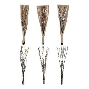Creative Co-Op Dried Natural Pussy Willow Bunch (Colors May Vary)