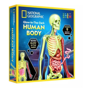 Kids' National Geographic Glow-In-The-Dark Human Body