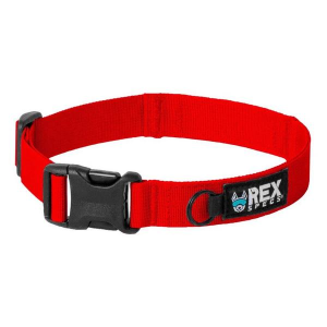 Rex Specs Trailhead Dog Collar