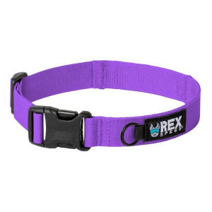 Rex Specs Trailhead Dog Collar