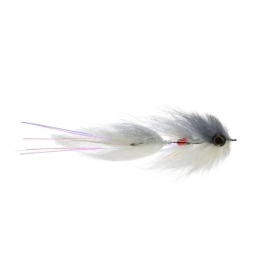 Rainy's Mason's Killed Over Fly