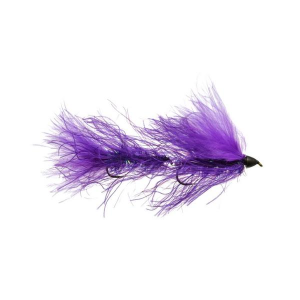 Rainy's J's Living Leech Fly