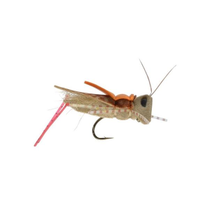 Rainy's Mason's Secret Sauce Hopper Fly