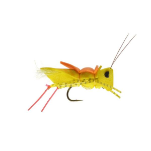 Rainy's Mason's Secret Sauce Hopper Fly
