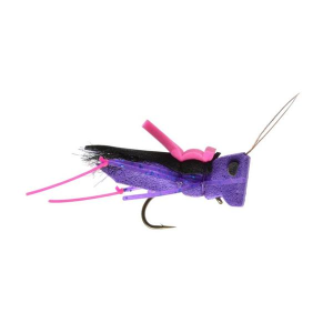 Rainy's Mason's Secret Sauce Hopper Fly